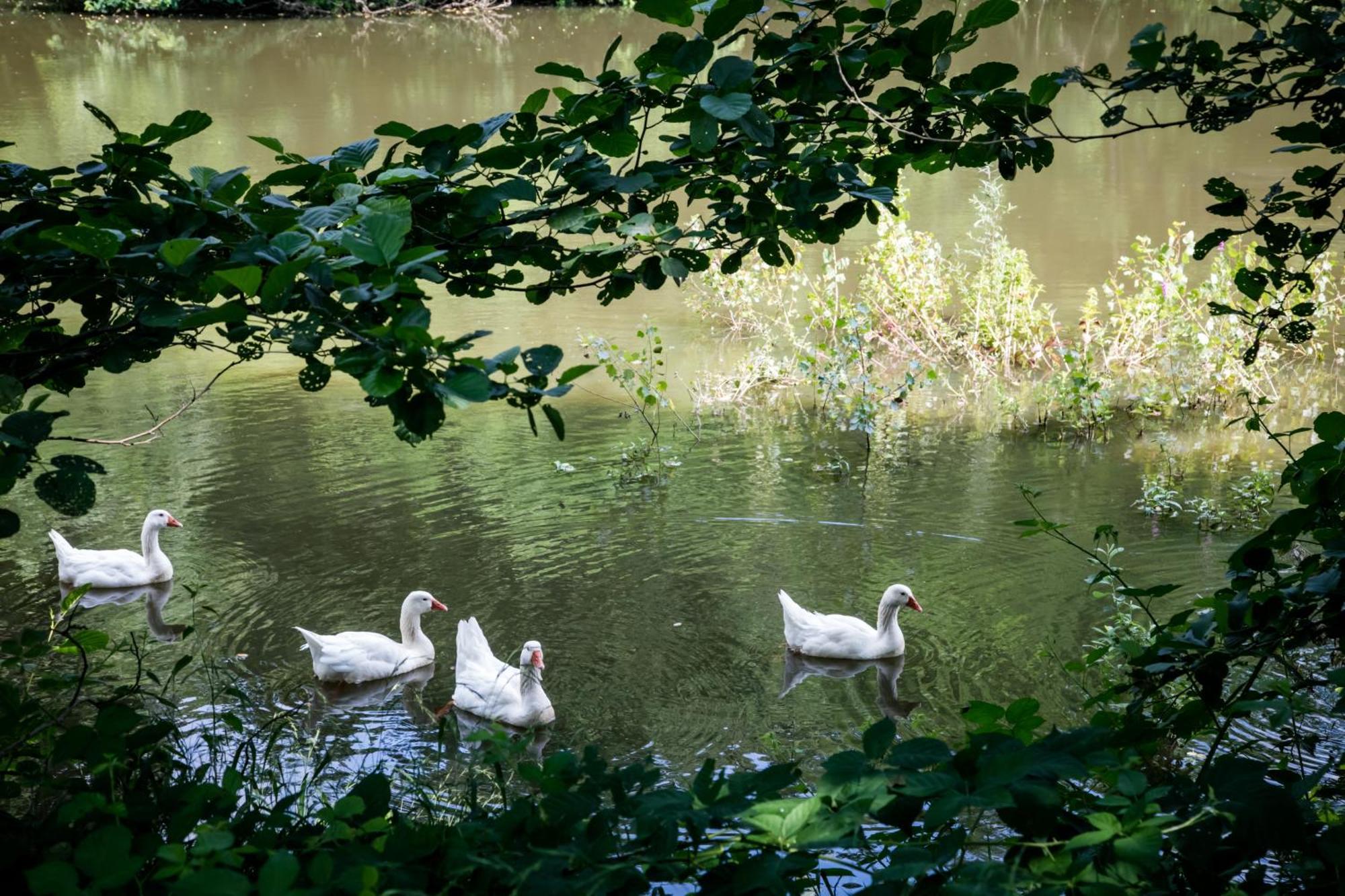 Agriturismo Parco Campofelice Lombardore Экстерьер фото